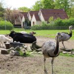 Broeckhuys-fotoalbum-foto9